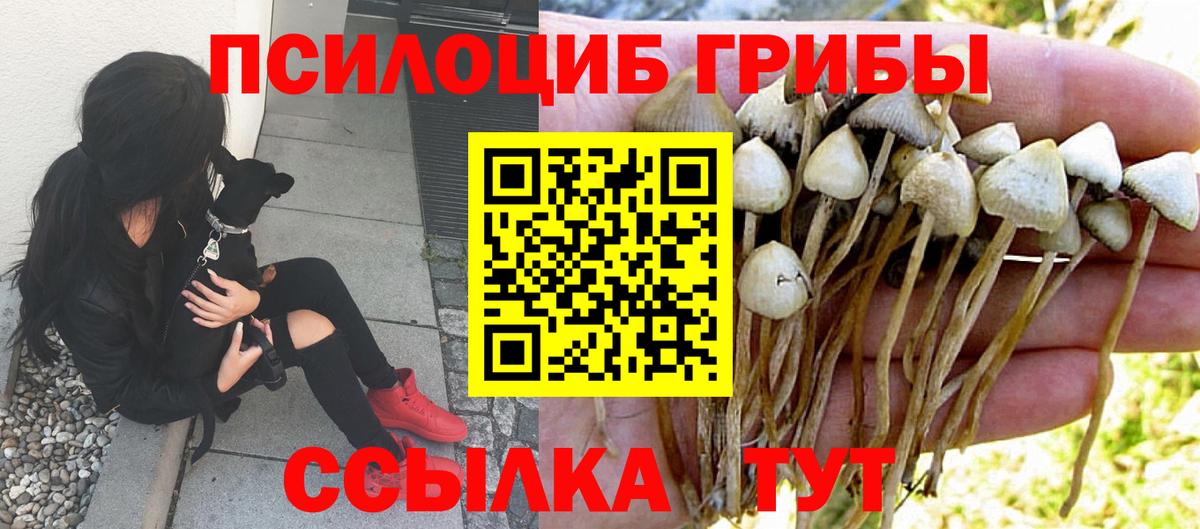 Псилоцибиновые грибы MAGIC MUSHROOMS Луга