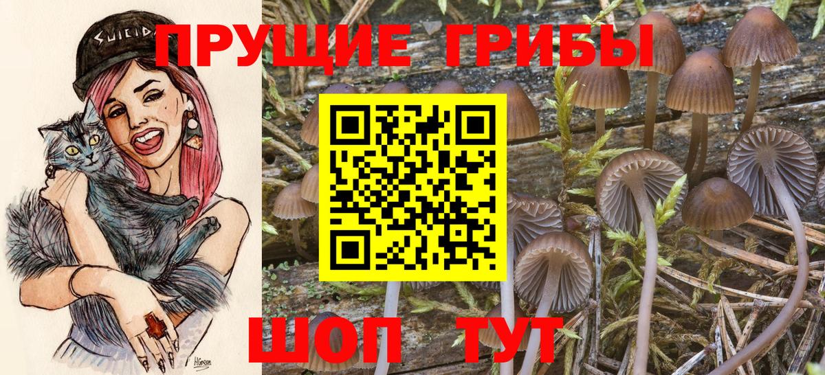 Луга  Псилоцибиновые грибы ЛСД  Вход с VPN 